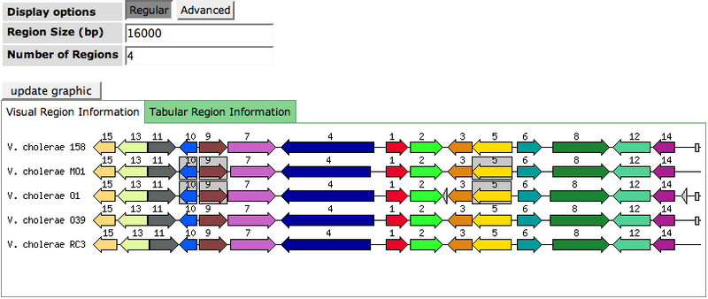 File:AnnotationComp.png